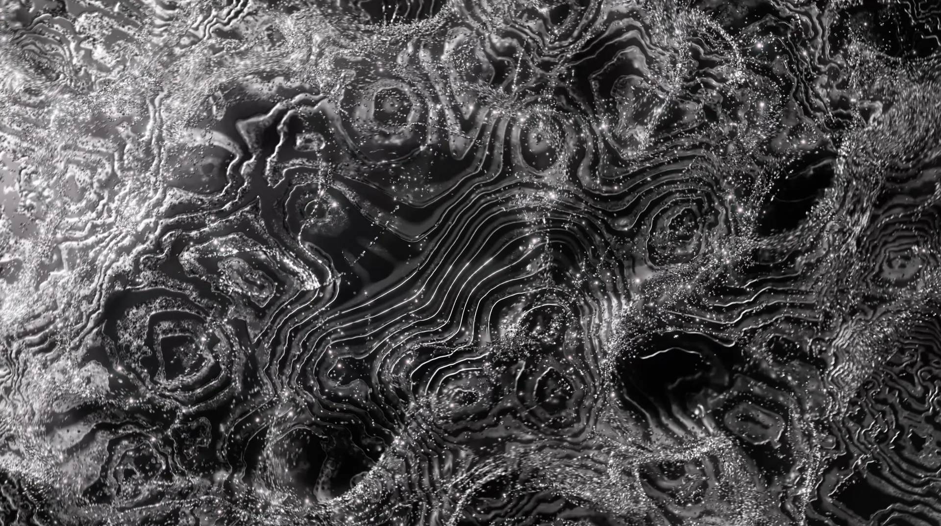 CLAVI Damask, frame 4